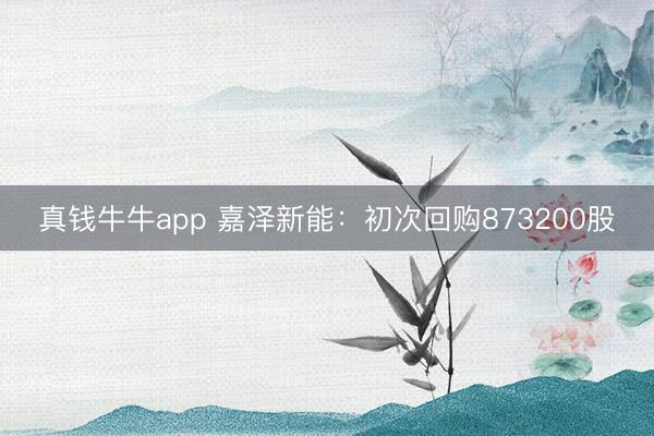 真钱牛牛app 嘉泽新能：初次回购873200股