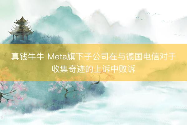 真钱牛牛 Meta旗下子公司在与德国电信对于收集奇迹的上诉中败诉