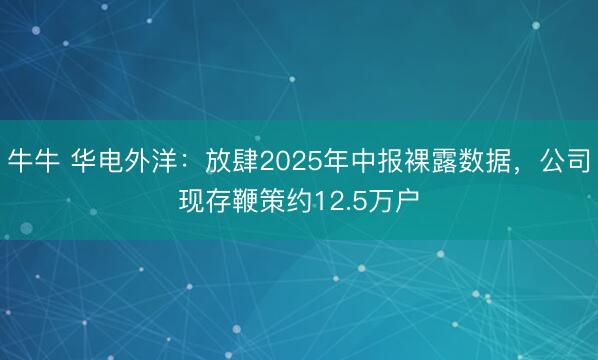 牛牛 华电外洋:放肆2025年中报裸露数据,公司现存鞭策约12.5万户