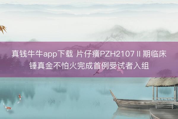 真钱牛牛app下载 片仔癀PZH2107Ⅱ期临床锤真金不怕火完成首例受试者入组