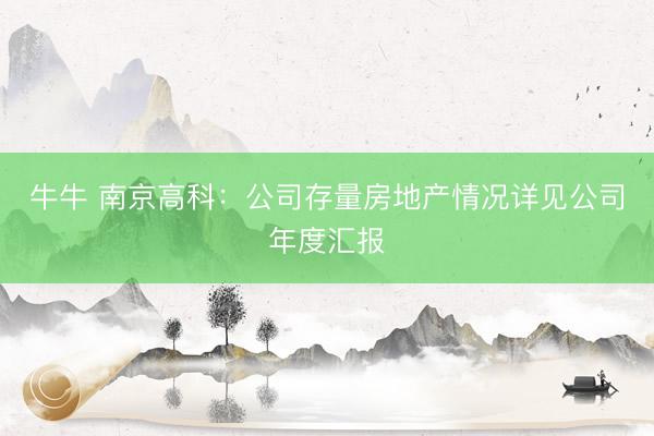 牛牛 南京高科：公司存量房地产情况详见公司年度汇报