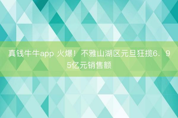 真钱牛牛app 火爆！不雅山湖区元旦狂揽6．95亿元销售额