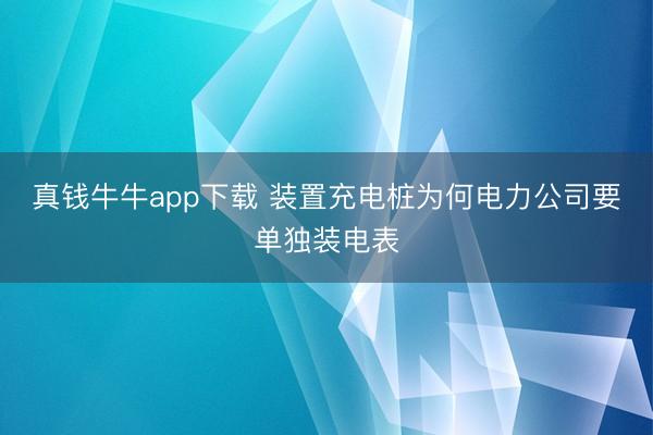 真钱牛牛app下载 装置充电桩为何电力公司要单独装电表