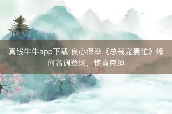 真钱牛牛app下载 良心保举《总裁宠妻忙》缘何高调登场，惊喜束缚
