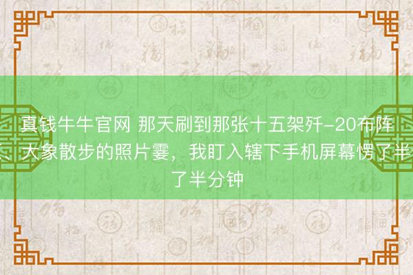 真钱牛牛官网 那天刷到那张十五架歼-20布阵高原、大象散步的照片霎，我盯入辖下手机屏幕愣了半分钟
