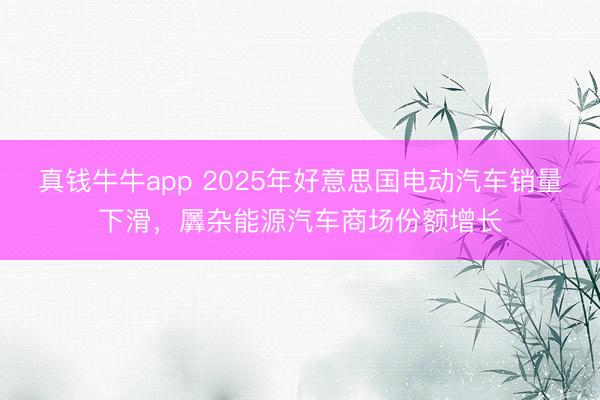 真钱牛牛app 2025年好意思国电动汽车销量下滑，羼杂能源汽车商场份额增长