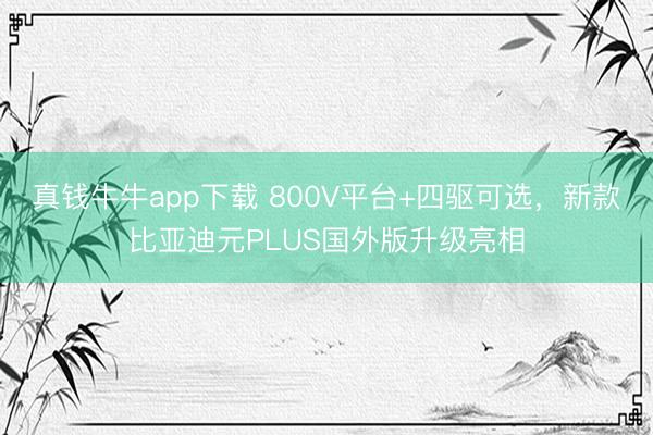 真钱牛牛app下载 800V平台+四驱可选，新款比亚迪元PLUS国外版升级亮相