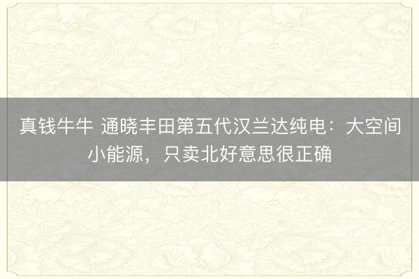 真钱牛牛 通晓丰田第五代汉兰达纯电：大空间小能源，只卖北好意思很正确