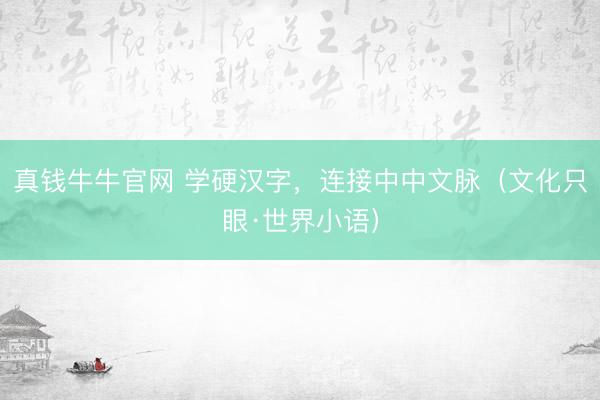 真钱牛牛官网 学硬汉字，连接中中文脉（文化只眼·世界小语）