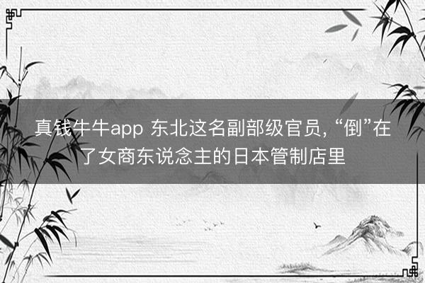 真钱牛牛app 东北这名副部级官员, “倒”在了女商东说念主的日本管制店里