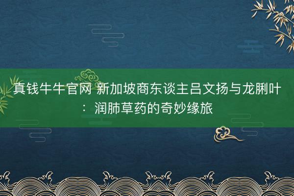 真钱牛牛官网 新加坡商东谈主吕文扬与龙脷叶:润肺草药的奇妙缘旅
