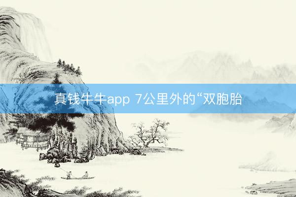 真钱牛牛app 7公里外的“双胞胎