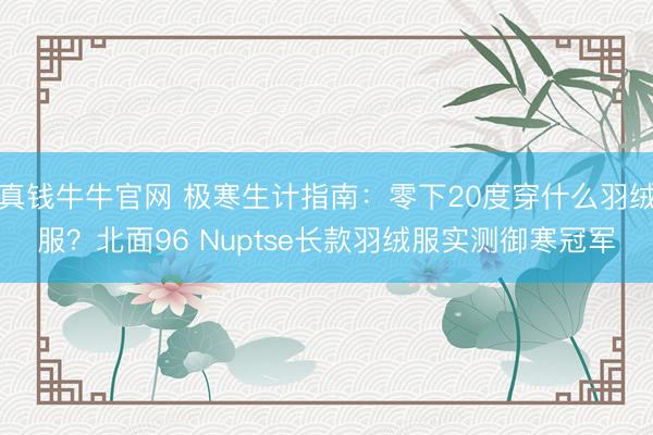 真钱牛牛官网 极寒生计指南：零下20度穿什么羽绒服？北面96 Nuptse长款羽绒服实测御寒冠军