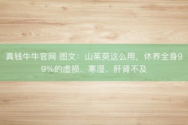 真钱牛牛官网 图文：山茱萸这么用，休养全身99%的虚损、寒湿、肝肾不及