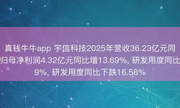 真钱牛牛app 宇信科技2025年营收36.23亿元同比降8.46%， 归母净利润4.32亿元同比增13.69%， 研发用度同比下跌16.58%