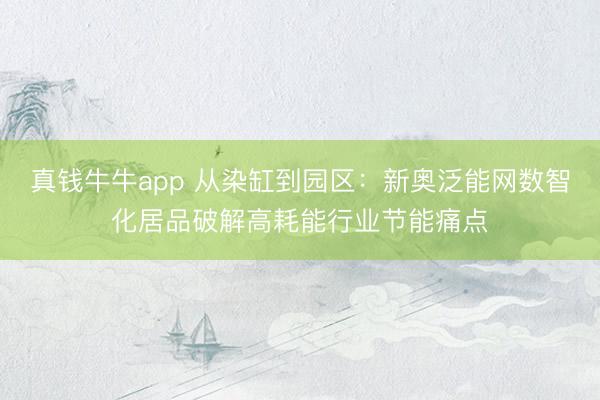 真钱牛牛app 从染缸到园区:新奥泛能网数智化居品破解高耗能行业节能痛点