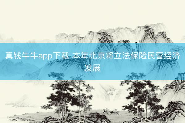 真钱牛牛app下载 本年北京将立法保险民营经济发展