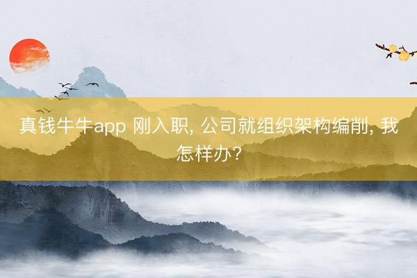 真钱牛牛app 刚入职， 公司就组织架构编削， 我怎样办?