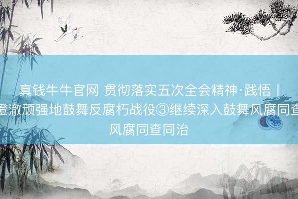 真钱牛牛官网 贯彻落实五次全会精神·践悟丨愈加澄澈顽强地鼓舞反腐朽战役③继续深入鼓舞风腐同查同治