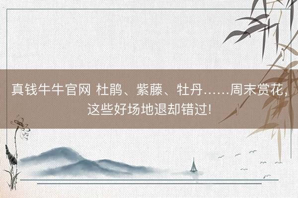 真钱牛牛官网 杜鹃、紫藤、牡丹……周末赏花，这些好场地退却错过!
