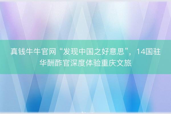 真钱牛牛官网 “发现中国之好意思”，14国驻华酬酢官深度体验重庆文旅