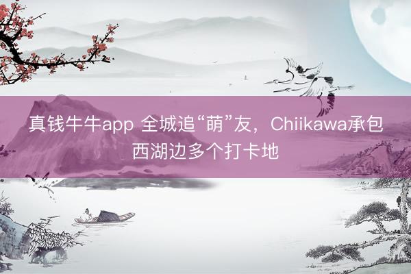 真钱牛牛app 全城追“萌”友，Chiikawa承包西湖边多个打卡地