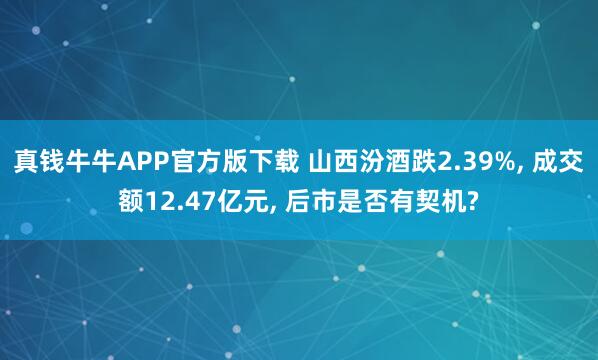 真钱牛牛APP官方版下载 山西汾酒跌2.39%， 成交额12.47亿元， 后市是否有契机?