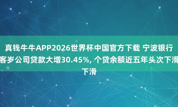 真钱牛牛APP2026世界杯中国官方下载 宁波银行客岁公司贷款大增30.45%, 个贷余额近五年头次下滑