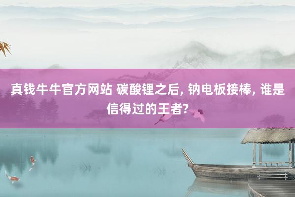 真钱牛牛官方网站 碳酸锂之后, 钠电板接棒, 谁是信得过的王者?