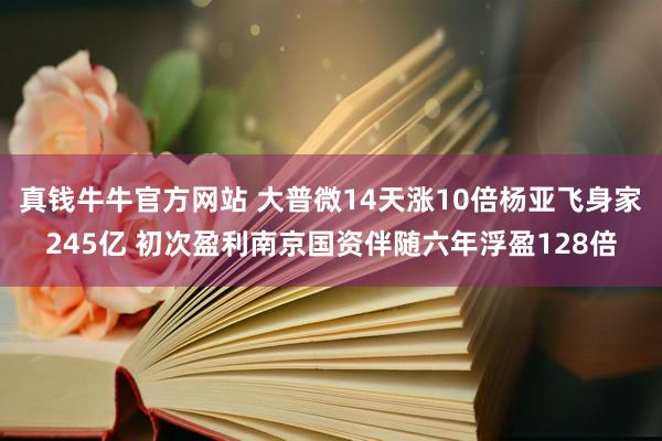 真钱牛牛官方网站 大普微14天涨10倍杨亚飞身家245亿 初次盈利南京国资伴随六年浮盈128倍