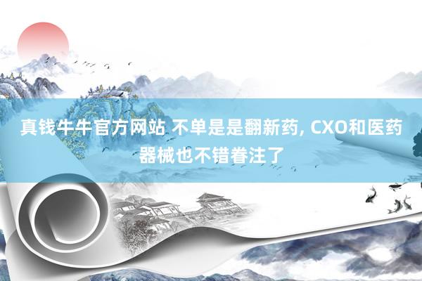 真钱牛牛官方网站 不单是是翻新药， CXO和医药器械也不错眷注了