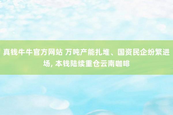 真钱牛牛官方网站 万吨产能扎堆、国资民企纷繁进场， 本钱陆续重仓云南咖啡