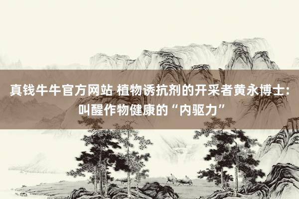 真钱牛牛官方网站 植物诱抗剂的开采者黄永博士: 叫醒作物健康的“内驱力”