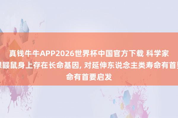 真钱牛牛APP2026世界杯中国官方下载 科学家说明裸鼹鼠身上存在长命基因, 对延伸东说念主类寿命有首要启发