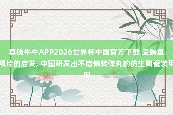 真钱牛牛APP2026世界杯中国官方下载 受鳄鱼鳞片的启发, 中国研发出不错偏转弹丸的仿生陶瓷装甲