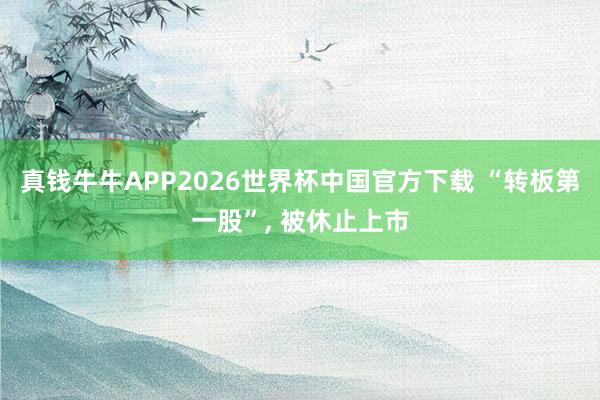 真钱牛牛APP2026世界杯中国官方下载 “转板第一股”, 被休止上市