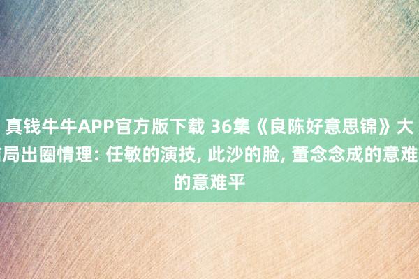 真钱牛牛APP官方版下载 36集《良陈好意思锦》大结局出圈情理: 任敏的演技, 此沙的脸, 董念念成的意难平