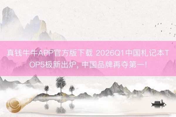 真钱牛牛APP官方版下载 2026Q1中国札记本TOP5极新出炉, 中国品牌再夺第一!