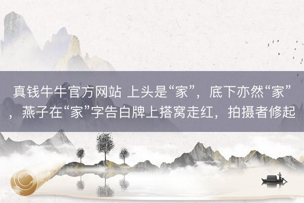 真钱牛牛官方网站 上头是“家”，底下亦然“家”，燕子在“家”字告白牌上搭窝走红，拍摄者修起