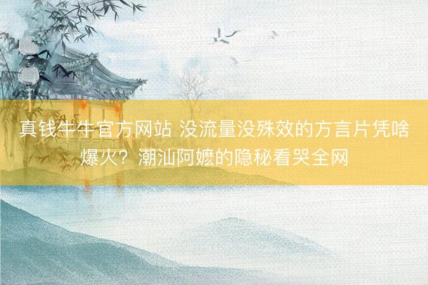 真钱牛牛官方网站 没流量没殊效的方言片凭啥爆火?潮汕阿嬷的隐秘看哭全网