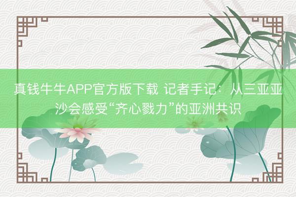 真钱牛牛APP官方版下载 记者手记:从三亚亚沙会感受“齐心戮力”的亚洲共识