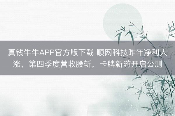 真钱牛牛APP官方版下载 顺网科技昨年净利大涨,第四季度营收腰斩,卡牌新游开启公测