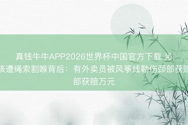 真钱牛牛APP2026世界杯中国官方下载 沁阳男孩遭绳索割喉背后:有外卖员被风筝线勒伤颈部获赔万元