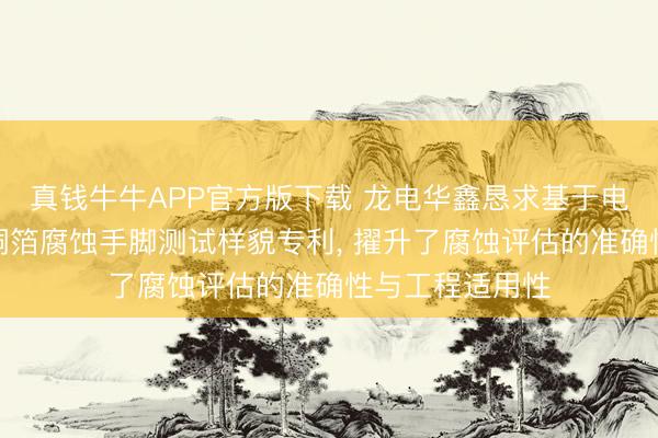 真钱牛牛APP官方版下载 龙电华鑫恳求基于电化学责任站的铜箔腐蚀手脚测试样貌专利, 擢升了腐蚀评估的准确性与工程适用性